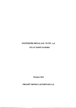 Fiyat Tespit Raporu - Eloksal Kimyasalları