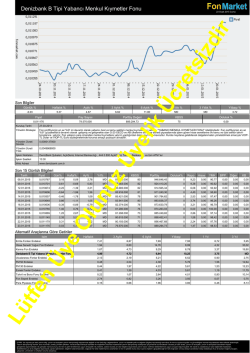Denizbank B Tipi Yabancı Menkul Kıymetler Fonu