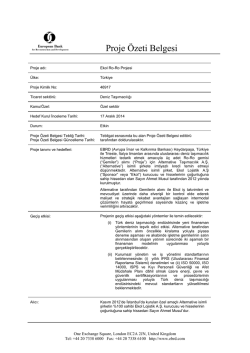 Proje &Ouml;zeti Belgesi