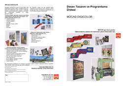 Desen Tasarım ve Programlama &Uuml;nitesi M&Uuml;CAD