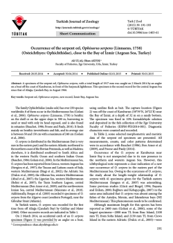 Occurrence of the serpent eel, Ophisurus serpens