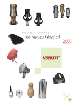 fountain nozzles s&uuml;s havuzu fiskiyeleri