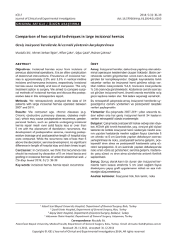 Comparison of two surgical techniques in large incisional hernias