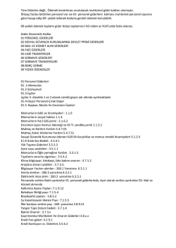 2015 B&uuml;t&ccedil;e Gider &Ouml;rnek Kodları