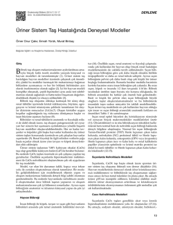 &Uuml;riner Sistem Taş Hastalığında Deneysel Modeller