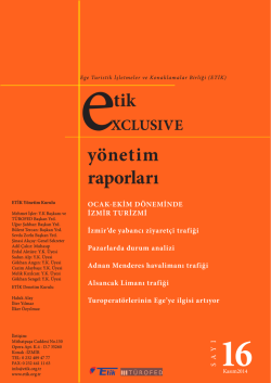 etik yönetim raporları