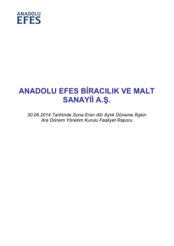 ANADOLU EFES BĠRACILIK VE MALT SANAYĠĠ A.ġ.