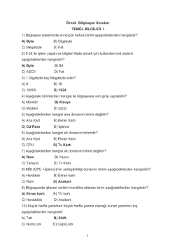 Bilgisayara Giriş Çalışma Soruları