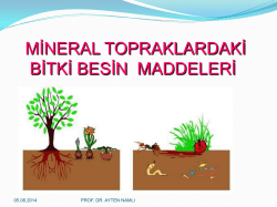 mutlak gerekli besin maddeleri