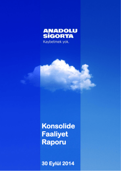 Konsolide Faaliyet Raporu 2014/9