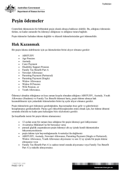 Advance Payment / Peşin &ouml;demeler