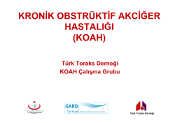 KOAH 2014 Hekim Egitim Seti