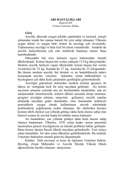 Arı Hastalıkları - Veteriner Kontrol Enstit&uuml;s&uuml; M&uuml;d&uuml;rl&uuml;kleri