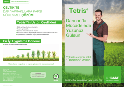 Tetris &reg; 75 EC