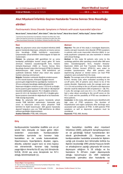 Türkçe - JournalAgent