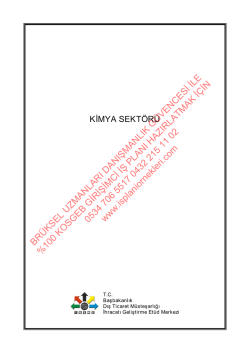 Kimya Sanayi KOSGEB Girişimci İş Planı &Ouml;rneği