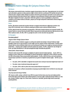 Saygının Hakim Olduğu Bir &Ccedil;alışma Ortamı İlkesi