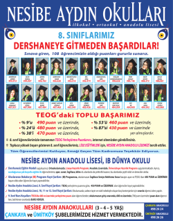 branda sbs 55*70 2014 - nesibe aydın okulları