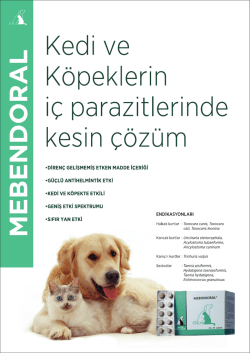 Mebendoral broş&uuml;r