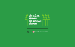 BİR AĞA&Ccedil; sgznıaN BIR oRMAN