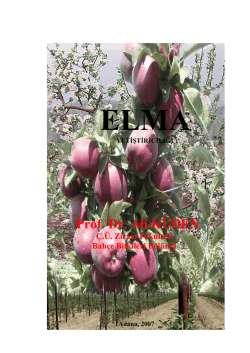 Prof. Dr. Ali K&Uuml;DEN