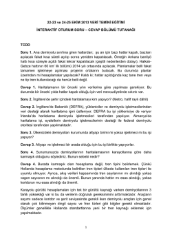 İnteraktif Oturum Tutanağı - &Ccedil;evresel G&uuml;r&uuml;lt&uuml; Direktifinin Uygulama