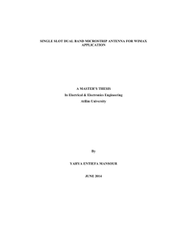 SINGLE SLOT DUAL BAND MICROSTRIP ANTENNA FOR WIMAX