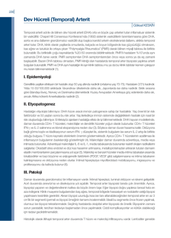 Dev H&uuml;creli (Temporal) Arterit