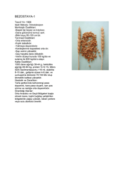 BEZOSTAYA-1