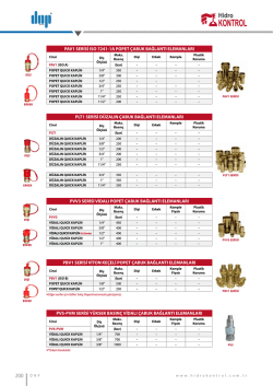 pav1 serisi ıso 7241-1a popet &ccedil;abuk bağlantı