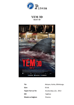 YEM 3D - Pinema