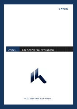 2014 06 Faaliyet Raporu
