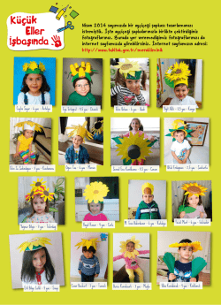 K&uuml;&ccedil;&uuml;k İşbaşında Eller - Meraklı Minik