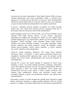 (WHO) iş kazasını