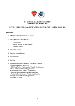 1- bm k&uuml;resel ilkeler s&ouml;zleşmesi ilerleme bildirimi