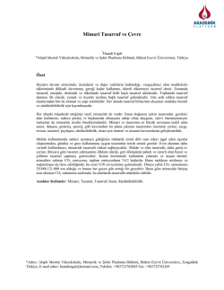 Architectural Conservation And Environment