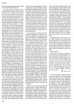 TDV DIA - İslam Ansiklopedisi