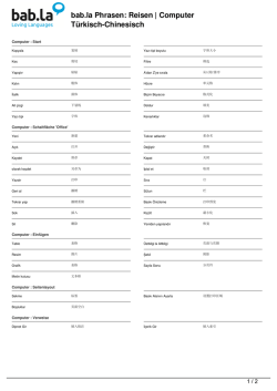 Computer (Türkisch-Chinesisch)
