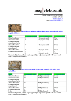 156SK. NO:48 YEŞLOVA-ZMR tel:0232 4672440 www.mag.gen.tr e