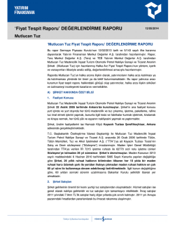 Fiyat Tespit Raporu - Yatırım Finansman Menkul Değerler