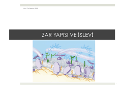 8. b&ouml;l&uuml;m.pptx - Prof. Dr. Bektaş TEPE