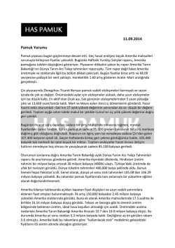 11.09.2014 Pamuk Yorumu