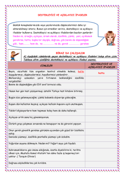 destekleyici ve açıklayıcı ifadeler