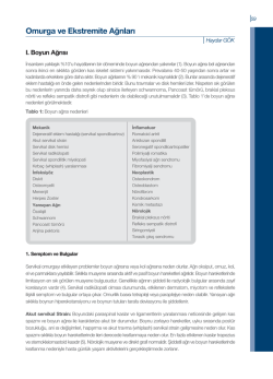 Omurga ve Ekstremite Ağrıları