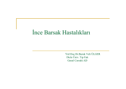 İnce Barsak Hastalıkları