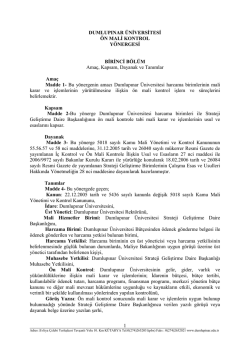 Dumlupınar &Uuml;niversitesi &Ouml;n Mali Kontrol Y&ouml;nergesi