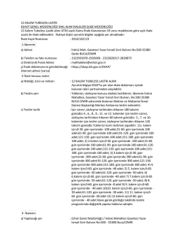 12 Kalem Tubeless Lastik Alımı