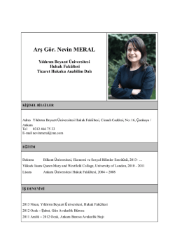 Arş G&ouml;r. Nevin MERAL - Yıldırım Beyazıt &Uuml;niversitesi