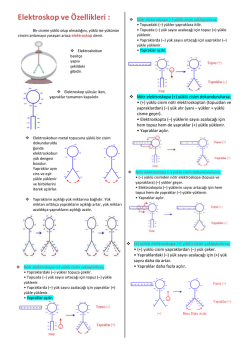Elektroskop ve Özellikleri :