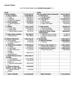 Finansal Tablolar 2013 TEK DÜZEN HESAP PLANI AYRINTILI
